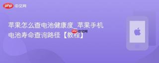 苹果怎么查电池健康度_苹果手机电池寿命查询路径【教程】