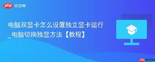 电脑双显卡怎么设置独立显卡运行_电脑切换独显方法【教程】