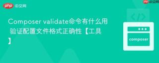 Composer validate命令有什么用 验证配置文件格式正确性【工具】