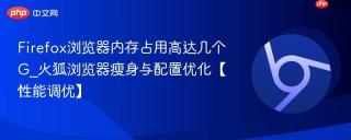firefox浏览器内存占用高达几个g_火狐浏览器瘦身与配置优化【性能调优】