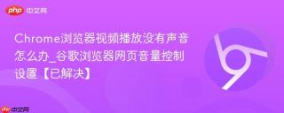 Chrome浏览器视频播放没有声音怎么办_谷歌浏览器网页音量控制设置【已解决】