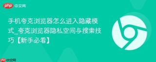 手机夸克浏览器怎么进入隐藏模式_夸克浏览器隐私空间与搜索技巧【新手必看】