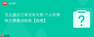怎么查自己有没有欠税 个人所得税欠费查询指南【指南】