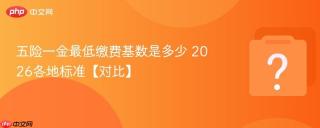 五险一金最低缴费基数是多少 2026各地标准【对比】
