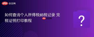 如何查询个人所得税纳税记录 完税证明打印教程