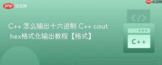 C++ 怎么输出十六进制 C++ cout hex格式化输出教程【格式】
