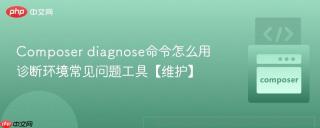 Composer diagnose命令怎么用 诊断环境常见问题工具【维护】