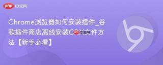 Chrome浏览器如何安装插件_谷歌插件商店离线安装CRX文件方法【新手必看】