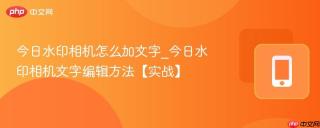 今日水印相机怎么加文字_今日水印相机文字编辑方法【实战】