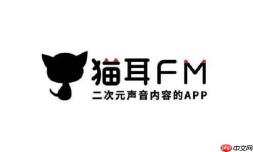 猫耳FM登录页面 网页版官方正版