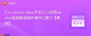 C++ vector data方法 C++获取vector底层数组指针操作C接口【兼容】