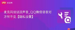 麦克风说话没声音_QQ微信语音对方听不见【隐私设置】