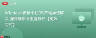 Windows更新卡在0%不动如何解决 强制刷新与重置技巧【高效应对】