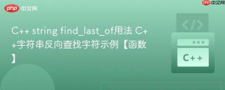 C++ string find_last_of用法 C++字符串反向查找字符示例【函数】