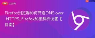 Firefox浏览器如何开启DNS over HTTPS_Firefox加密解析设置【指南】