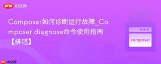 Composer如何诊断运行故障_Composer diagnose命令使用指南【排错】