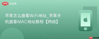 苹果怎么查看WiFi地址_苹果手机查看MAC地址教程【网络】