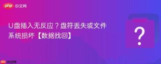 U盘插入无反应？盘符丢失或文件系统损坏【数据找回】