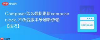 Composer怎么强制更新composer.lock_不改变版本号刷新依赖【技巧】