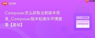 Composer怎么获取当前版本信息_Composer版本检测与环境查看【基础】