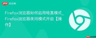Firefox浏览器如何启用暗黑模式_Firefox浏览器夜间模式开启【操作】