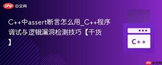 C++中assert断言怎么用_C++程序调试与逻辑漏洞检测技巧【干货】