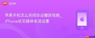 苹果手机怎么关闭自动播放视频_iPhone社交媒体省流设置