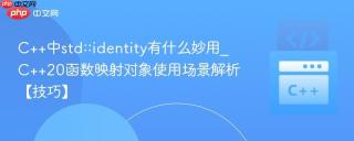 C++中std::identity有什么妙用_C++20函数映射对象使用场景解析【技巧】