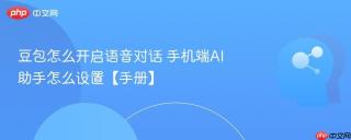 豆包怎么开启语音对话 手机端AI助手怎么设置【手册】
