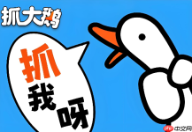 抓大鹅免登录网页版 抓大鹅小游戏在线免费秒玩