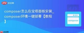 composer怎么在宝塔面板安装_composer环境一键部署【教程】