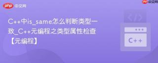 C++中is_same怎么判断类型一致_C++元编程之类型属性检查【元编程】