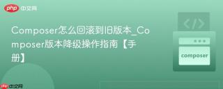 Composer怎么回滚到旧版本_Composer版本降级操作指南【手册】