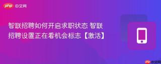 智联招聘如何开启求职状态 智联招聘设置正在看机会标志【激活】