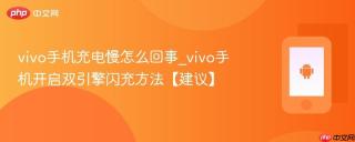 vivo手机充电慢怎么回事_vivo手机开启双引擎闪充方法【建议】