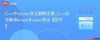C++中vector怎么删除元素_C++动态数组erase与clear用法【技巧】