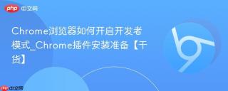 Chrome浏览器如何开启开发者模式_Chrome插件安装准备【干货】