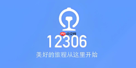 铁路12306怎么设置自动提交订单_铁路12306抢票辅助功能使用【抢票】