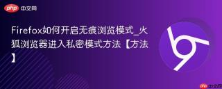 Firefox如何开启无痕浏览模式_火狐浏览器进入私密模式方法【方法】