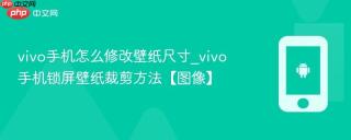 vivo手机怎么修改壁纸尺寸_vivo手机锁屏壁纸裁剪方法【图像】
