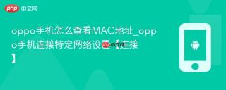 oppo手机怎么查看MAC地址_oppo手机连接特定网络设置【连接】