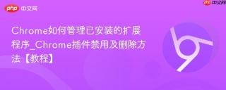 Chrome如何管理已安装的扩展程序_Chrome插件禁用及删除方法【教程】