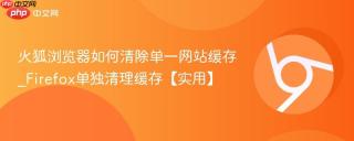 火狐浏览器如何清除单一网站缓存_Firefox单独清理缓存【实用】