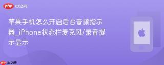 苹果手机怎么开启后台音频指示器_iPhone状态栏麦克风/录音提示显示