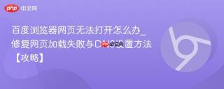 百度浏览器网页无法打开怎么办_修复网页加载失败与DNS设置方法【攻略】