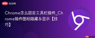 Chrome怎么固定工具栏插件_Chrome插件图标隐藏与显示【技巧】