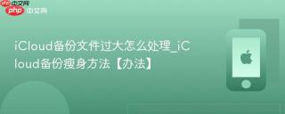 iCloud备份文件过大怎么处理_iCloud备份瘦身方法【办法】