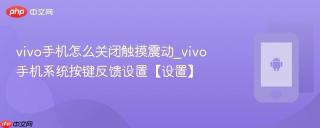 vivo手机怎么关闭触摸震动_vivo手机系统按键反馈设置【设置】