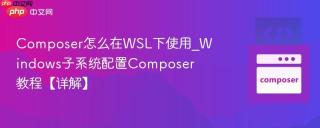 Composer怎么在WSL下使用_Windows子系统配置Composer教程【详解】