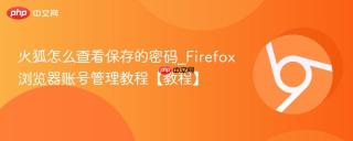 火狐怎么查看保存的密码_Firefox浏览器账号管理教程【教程】